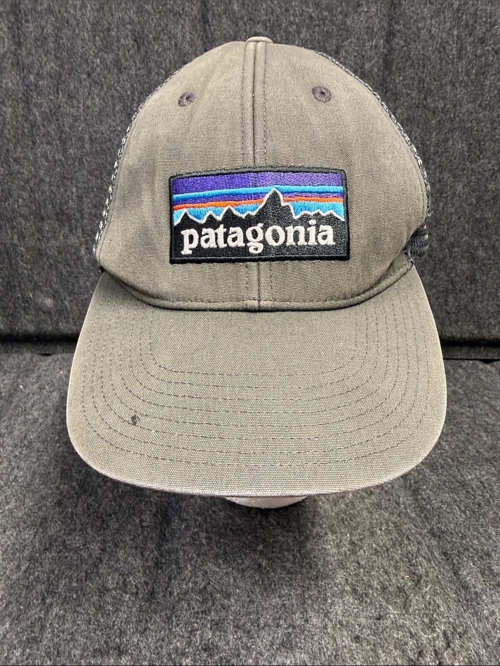 Patagonia Gray Cap with Multicolor Logo